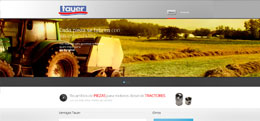 www.tauer.es